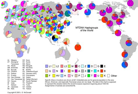 What is the <b>most</b> <b>common</b> <b>haplogroup</b> in the world? <b>mtDNA</b> <b>haplogroup</b> H What is the <b>most</b> <b>common</b> <b>haplogroup</b>? <b>mtDNA</b> <b>haplogroup</b> H can be found within as much as 40% of European people, making it the <b>most common maternal haplogroup</b> in the west. . Most common maternal haplogroup